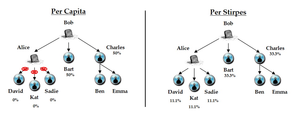 Per Stirpes v Per Capita UPDATED