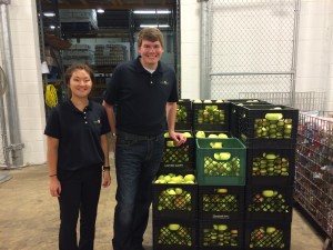 KC and DW Crating Apples